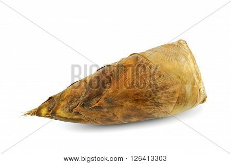 winter bamboo shoot isolated on white background