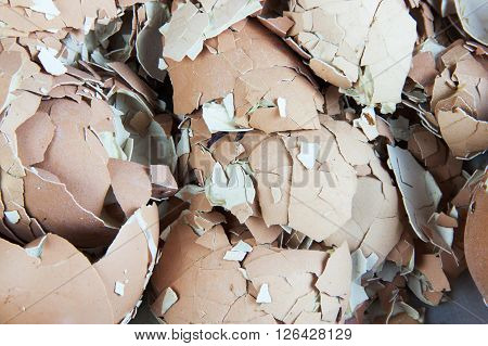 egg shell many lot a creaked fracture