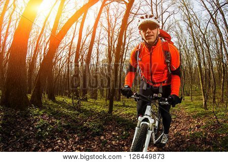 Cyclist Riding the Bike on the Trail in the Beautiful Spring Forest Wide Angle