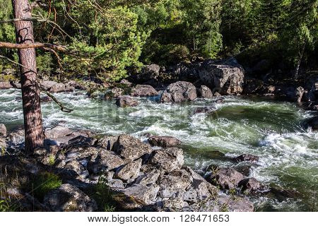 Chulyshman river not far from the place, where Chulcha river flows into it. Altai republic, Russia.
** Note: Soft Focus at 100%, best at smaller sizes