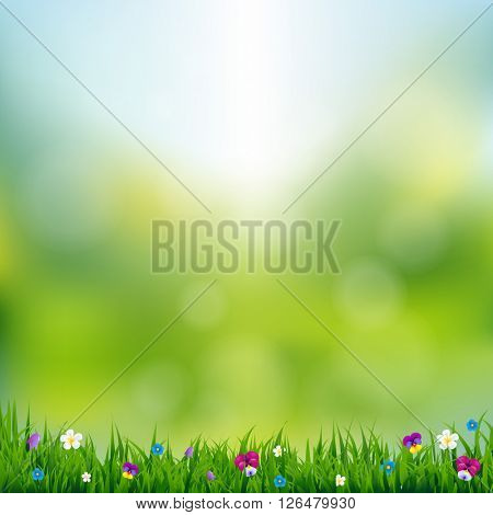 Spring Landscape 