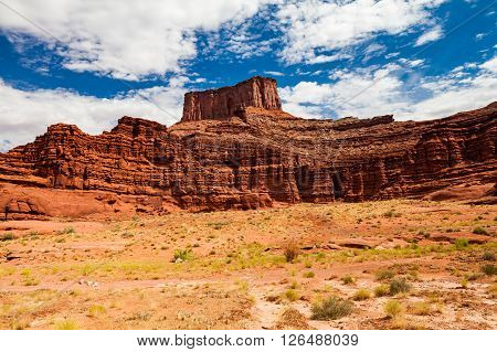 Views of the nature along the White Rim Road in Canyonlands Utah