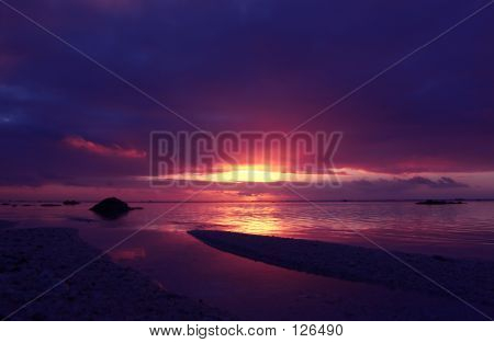 Tropical Sunset Pink