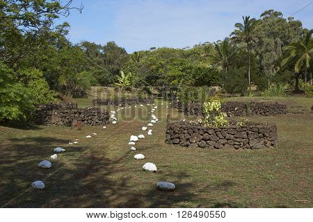 Footpath marked by white stones leading to the caldera of the extinct volcano Rano Kau within the UNESCO World Heritage Site of Rapa Nui National Park on Easter Island.