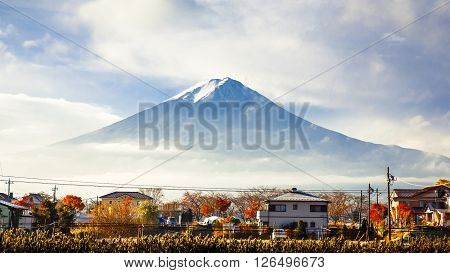 Mt. Fuji View From Kawaguchi-ko Lake Village In Autumn Season, Japan