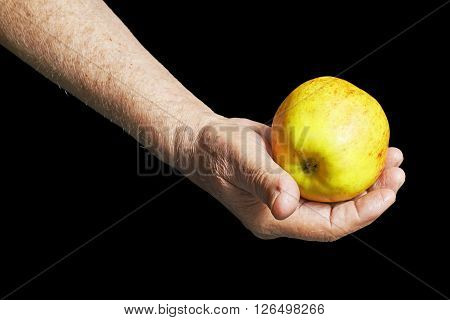 Old hand holding an apple on black background