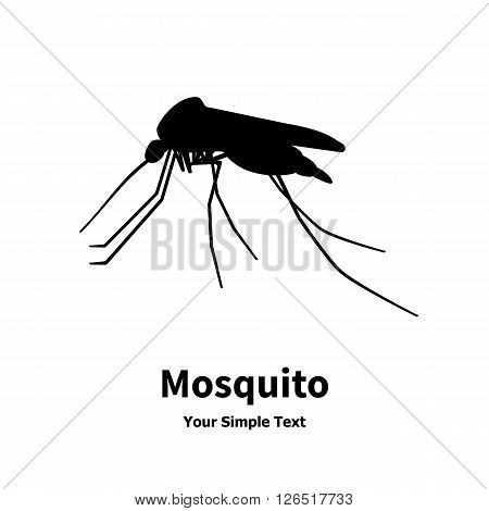 Vector illustration of an insect. The mosquito, gnat, blood-sucking animal. Isolated on white background.