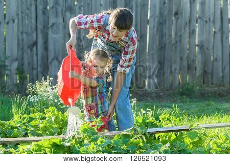 Little gardener girl is helping her mother to pour vegetable garden bed with green cucumbers