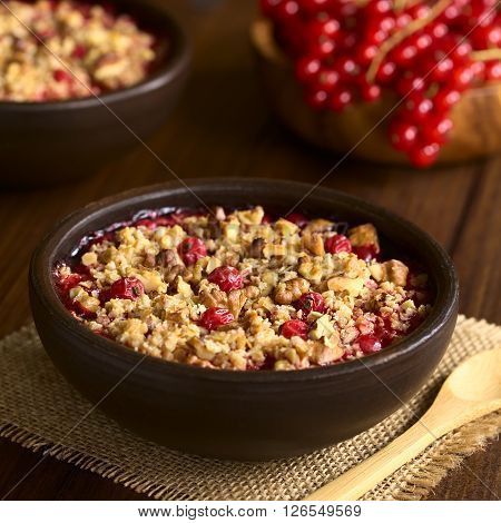 Redcurrant crumble or crisp with oatmeal and walnut on top baked in rustic bowl photographed on dark wood with natural light (Selective Focus Focus in the middle of the crumble)