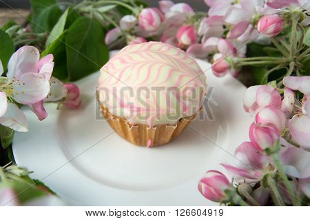Cupcake or muffin on the white plate among spring blooming apple branches