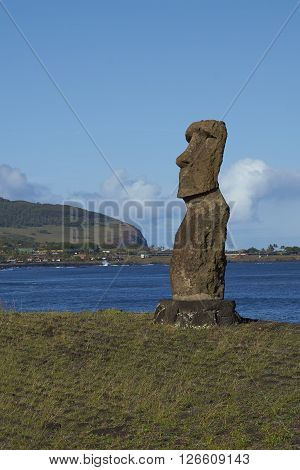 Hanja Kio. Ancient Moai statue on the coast of Rapa Nui (Easter Island)