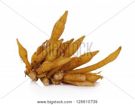 rhizome finger root on white background  herb