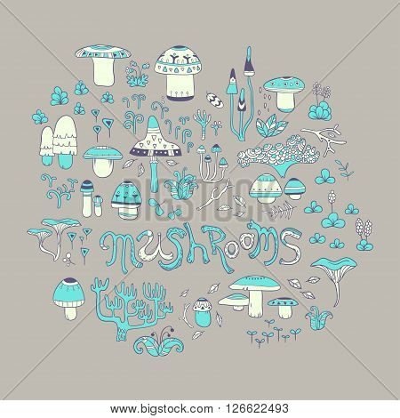 Mushrooms. vector hand drawn illustration with mushroom and forest herbs