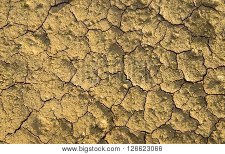 Land with dry and cracked ground.background texture.