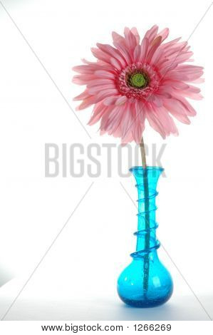 Big pink Gerbera Daisy in einer Vase blauem Glas
