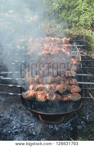 Delicious barbecue smells and smokes on the long skewers!
** Note: Soft Focus at 100%, best at smaller sizes