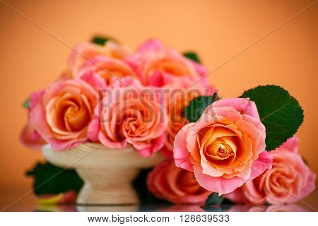 bouquet of pink roses on an orange background