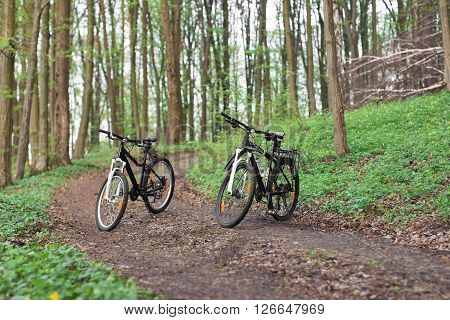 two mountain bikes in the spring green forest on the footpath