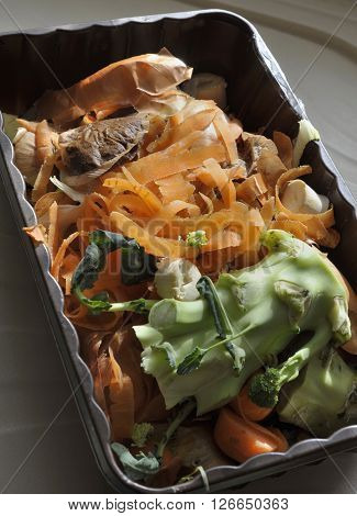 Kitchen Waste