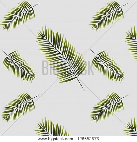 palm leaves pattern green summer background fresh