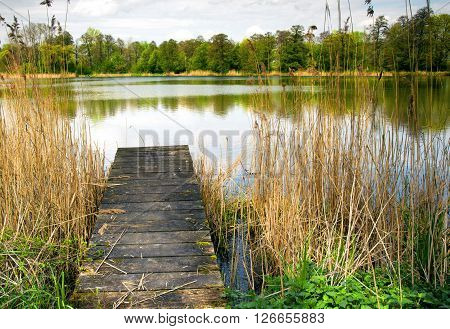 Photo of pond reeds and wooden bridge in the Raszyn Ponds Reserve in early spring in April.Horizontal view.