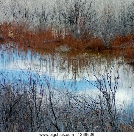 Reflection2