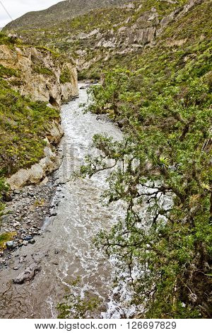 Guayllabamba very polluted river crossing by a cannon, with a tree in front