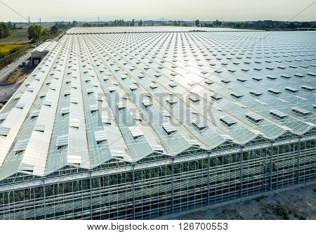 Aerial View On The Greenhouse
