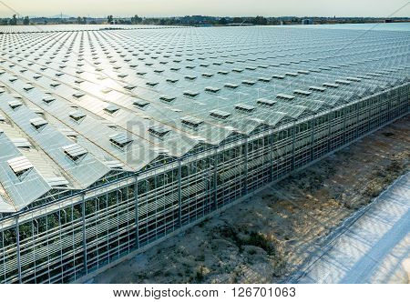 Aerial View On The Greenhouse