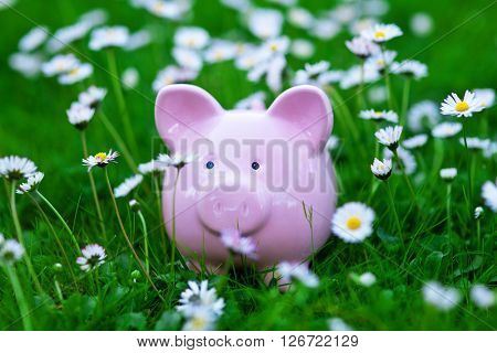 close up of classic piggybank money safer