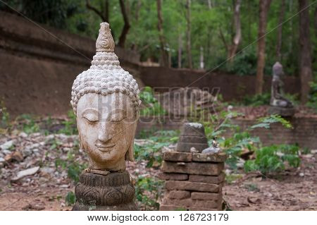 buddha statue in wat umong chiang mai travel thai temple in northern thailand thailand