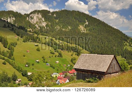 Summer morning landscape in the carpathian countryside