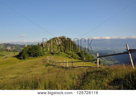 Summer morning landscape in the carpathian countryside