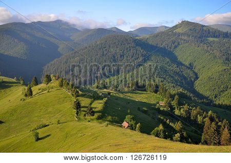 Summer morning landscape in the carpathian countryside