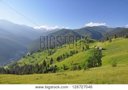 Summer morning landscape in the carpathian hills