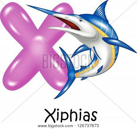 Vector illustration of X Letter for Xiphias