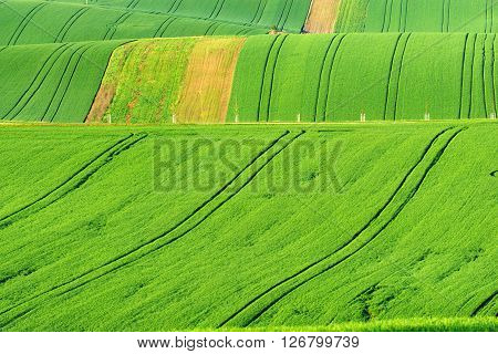 Moravian Tuscany is called a corrugated landscape near Kyjov Moravia Czech Republic