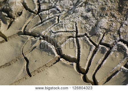 Clayey surface at the Nallihan bird paradise