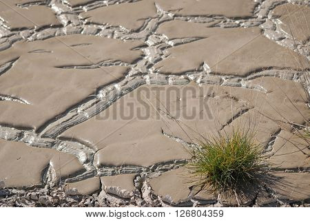 Clayey surface at the Nallihan bird paradise