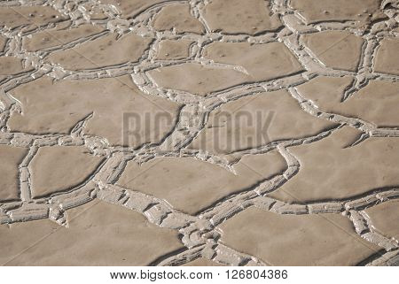 Clayey surface at the Nallihan bird paradise