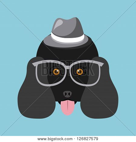 french poodle design, vector illustration eps10 graphic
