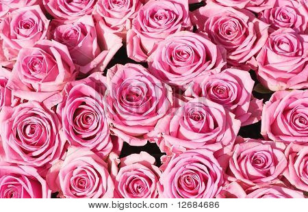 flowers # 307