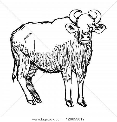 illustration vector hand draw doodles of wild male gaur isolated on white background