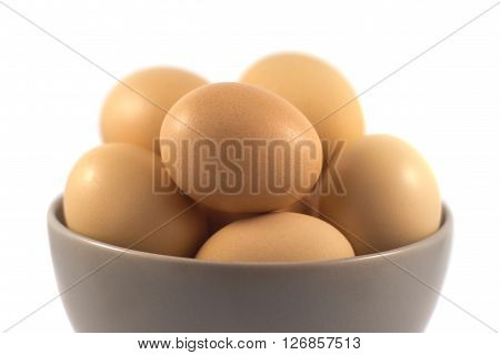 eggs in a cup and isolated white background