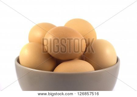 eggs in a cup and isolated white background