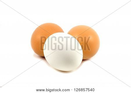 three chicken eggs isolated on white background
