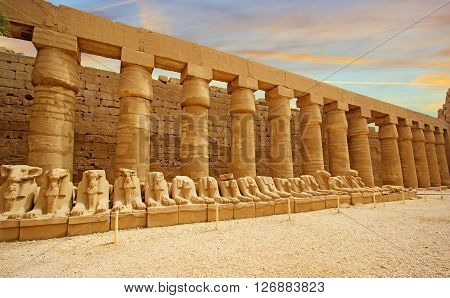 Ancient Temple of Karnak in Luxor, Egypt
** Note: Visible grain at 100%, best at smaller sizes