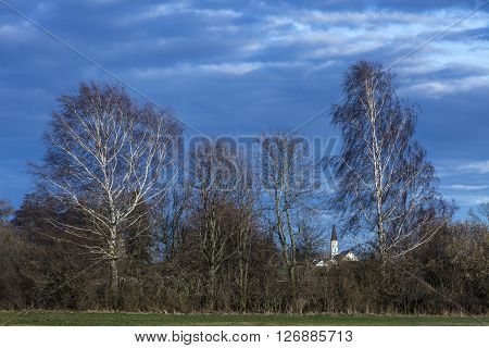 white church between branches behind shrubbery trees and two sunny birches and cloudy sky