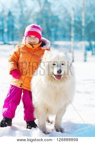 Smiling Child With White Samoyed Dog On Snow In Winter Day