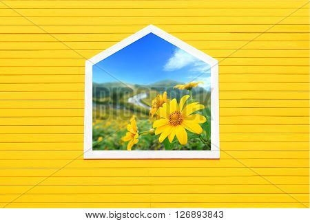 Open window with flowers outsideWindow on yellow wooden wall.
